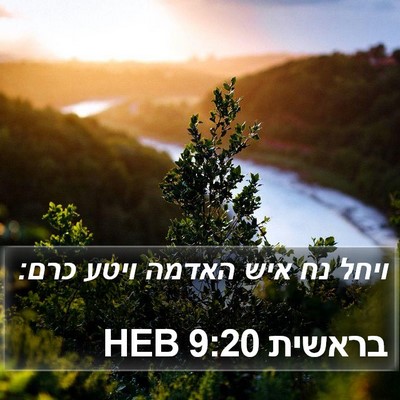 בראשית 9:20 HEB Bible Verse Image
