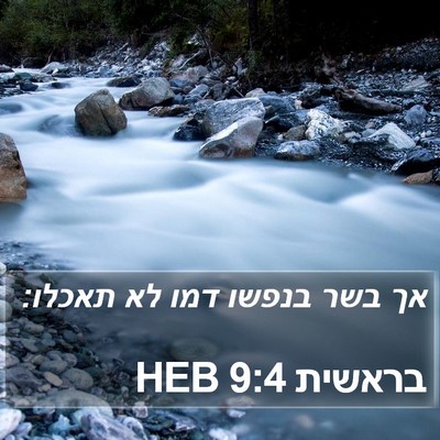 בראשית 9:4 HEB Bible Verse Image