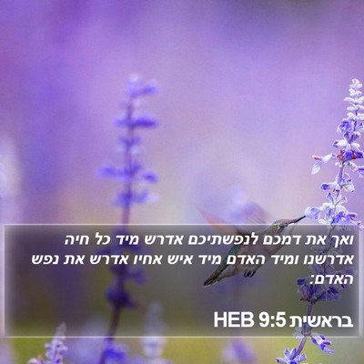 בראשית 9:5 HEB Bible Verse Image