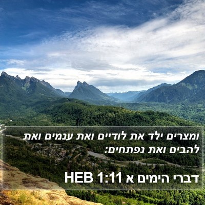 דברי הימים א 1:11 HEB Bible Verse Image