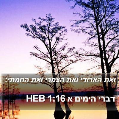 דברי הימים א 1:16 HEB Bible Verse Image