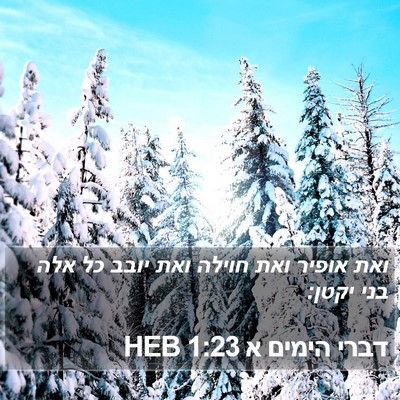 דברי הימים א 1:23 HEB Bible Verse Image