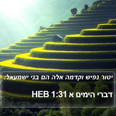 דברי הימים א 1:31 HEB Bible Verse Image
