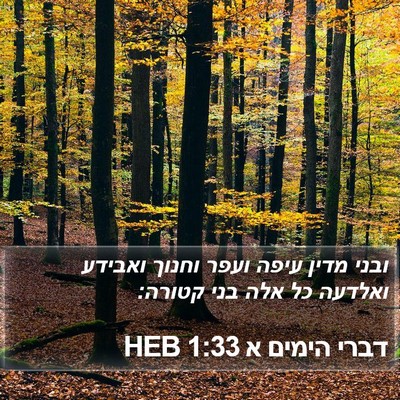 דברי הימים א 1:33 HEB Bible Verse Image