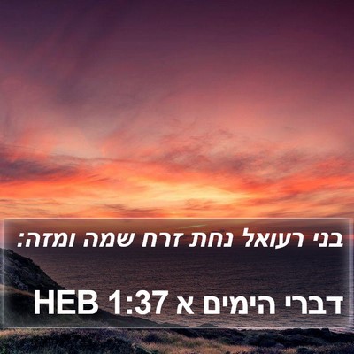 דברי הימים א 1:37 HEB Bible Verse Image