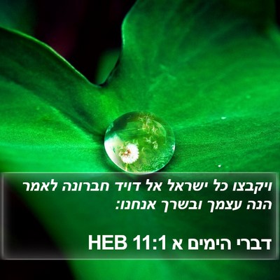 דברי הימים א 11:1 HEB Bible Verse Image