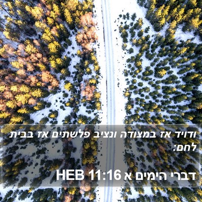 דברי הימים א 11:16 HEB Bible Verse Image