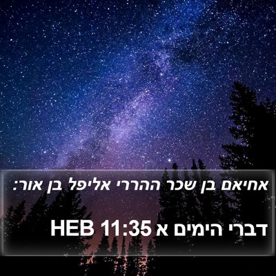 דברי הימים א 11:35 HEB Bible Verse Image
