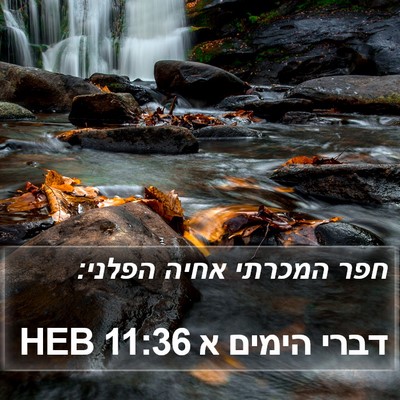 דברי הימים א 11:36 HEB Bible Verse Image