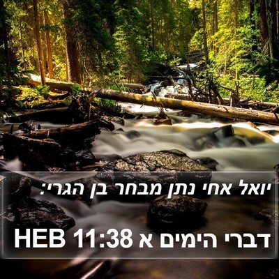 דברי הימים א 11:38 HEB Bible Verse Image