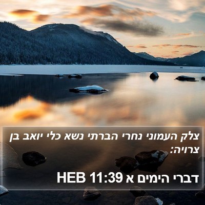 דברי הימים א 11:39 HEB Bible Verse Image