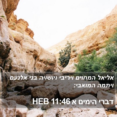 דברי הימים א 11:46 HEB Bible Verse Image