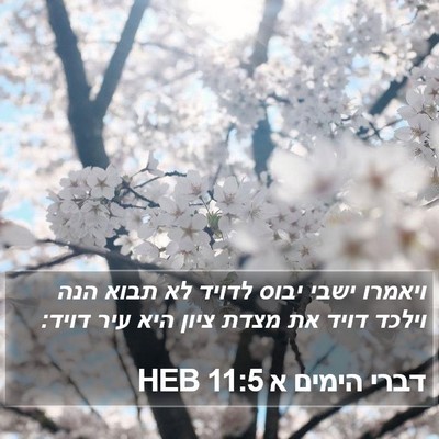 דברי הימים א 11:5 HEB Bible Verse Image