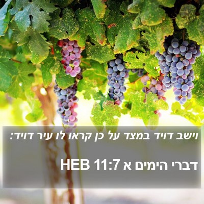 דברי הימים א 11:7 HEB Bible Verse Image