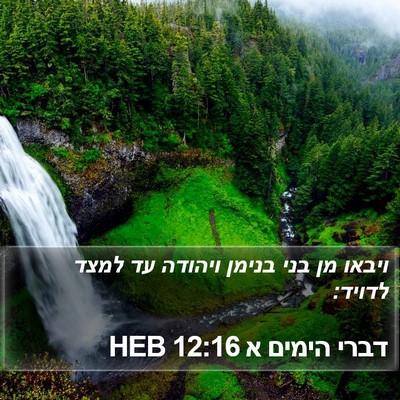 דברי הימים א 12:16 HEB Bible Verse Image