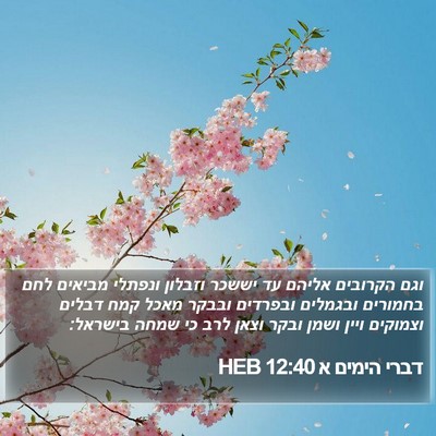 דברי הימים א 12:40 HEB Bible Verse Image