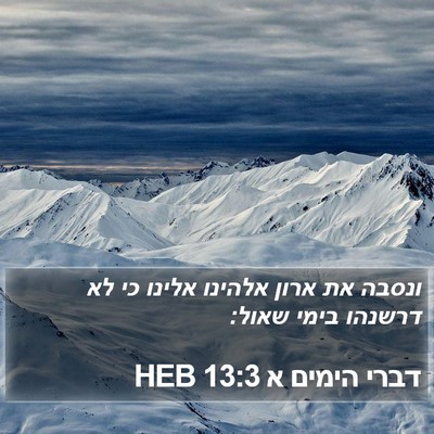דברי הימים א 13:3 HEB Bible Verse Image