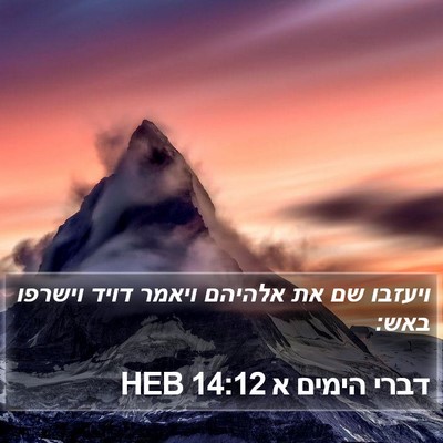 דברי הימים א 14:12 HEB Bible Verse Image