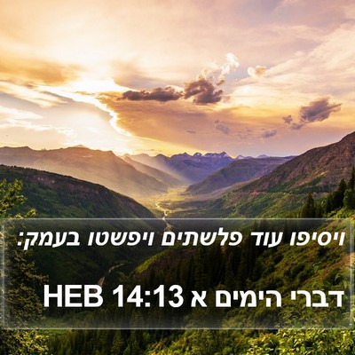 דברי הימים א 14:13 HEB Bible Verse Image