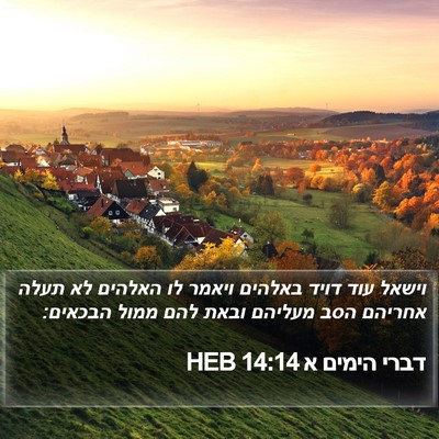 דברי הימים א 14:14 HEB Bible Verse Image