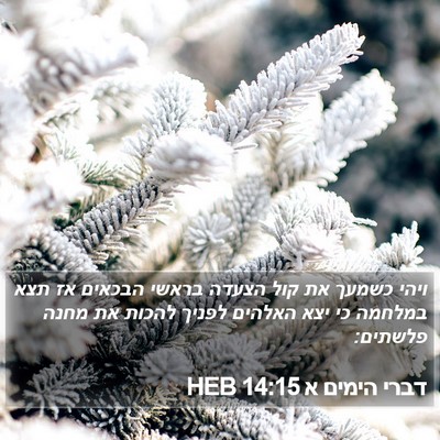 דברי הימים א 14:15 HEB Bible Verse Image