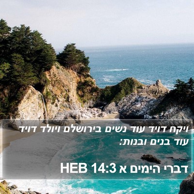 דברי הימים א 14:3 HEB Bible Verse Image