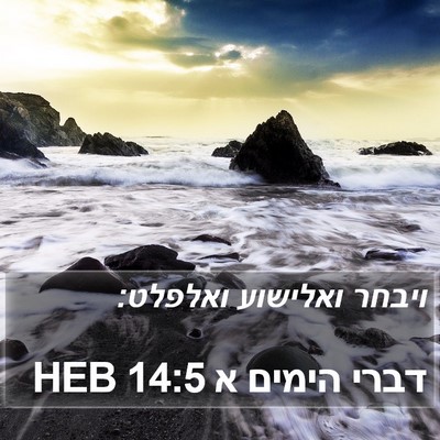 דברי הימים א 14:5 HEB Bible Verse Image