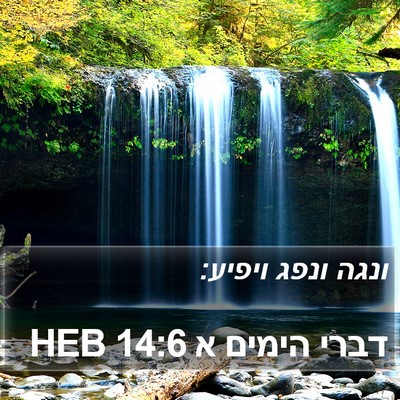 דברי הימים א 14:6 HEB Bible Verse Image