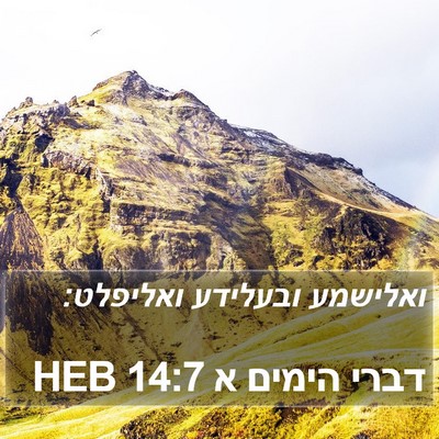 דברי הימים א 14:7 HEB Bible Verse Image