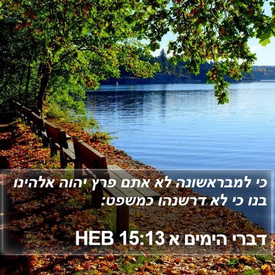 דברי הימים א 15:13 HEB Bible Verse Image