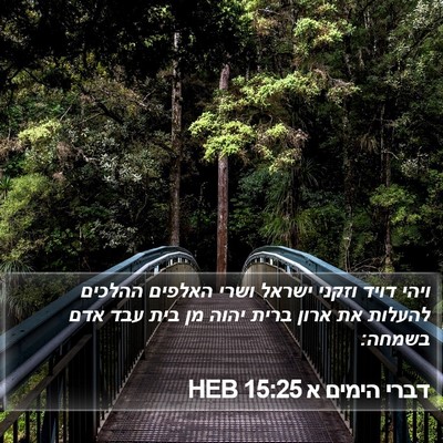 דברי הימים א 15:25 HEB Bible Verse Image