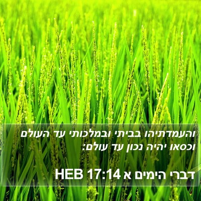 דברי הימים א 17:14 HEB Bible Verse Image