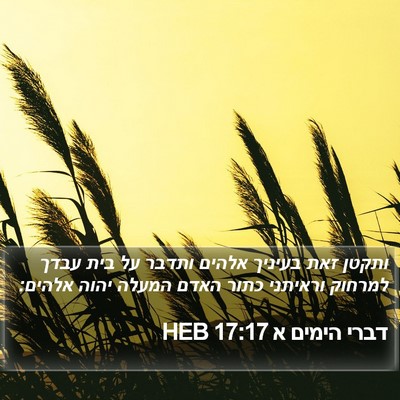 דברי הימים א 17:17 HEB Bible Verse Image