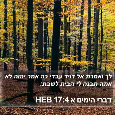 דברי הימים א 17:4 HEB Bible Verse Image