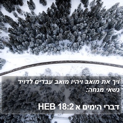 דברי הימים א 18:2 HEB Bible Verse Image