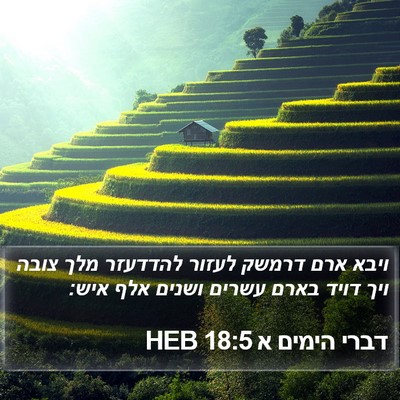 דברי הימים א 18:5 HEB Bible Verse Image