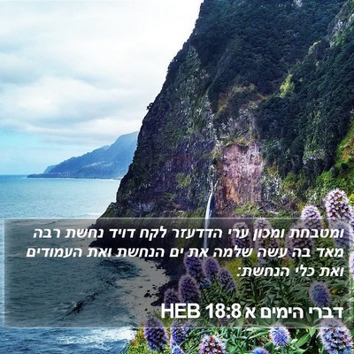 דברי הימים א 18:8 HEB Bible Verse Image