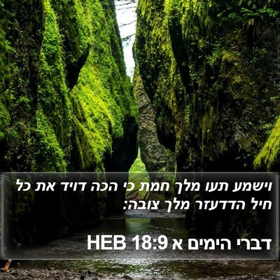 דברי הימים א 18:9 HEB Bible Verse Image