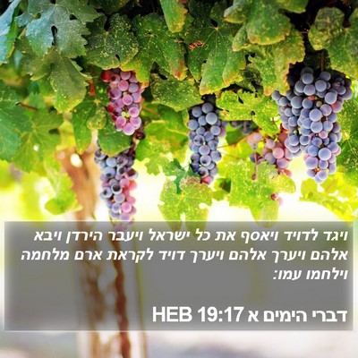 דברי הימים א 19:17 HEB Bible Verse Image