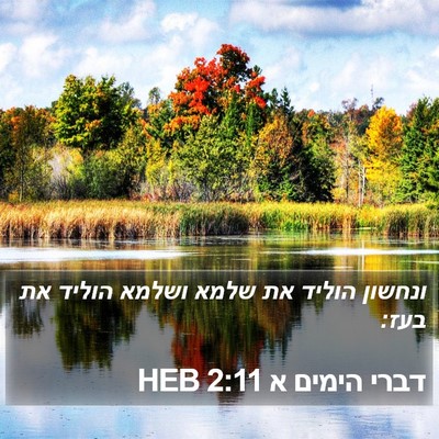 דברי הימים א 2:11 HEB Bible Verse Image