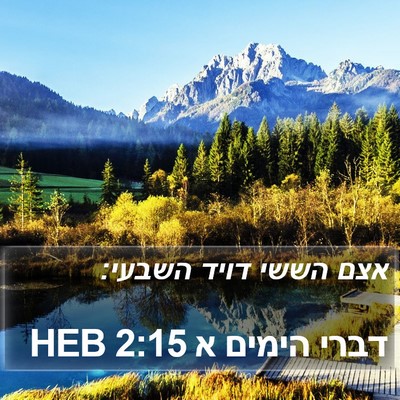 דברי הימים א 2:15 HEB Bible Verse Image