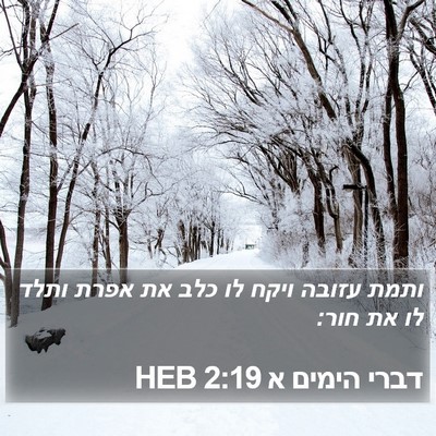 דברי הימים א 2:19 HEB Bible Verse Image