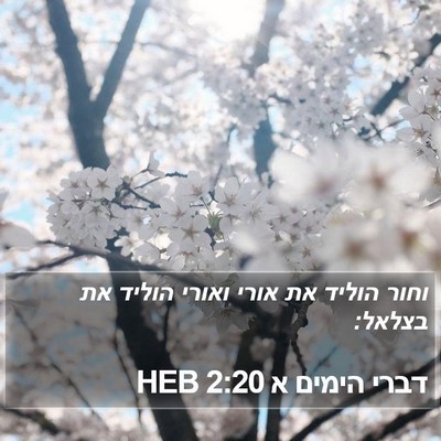 דברי הימים א 2:20 HEB Bible Verse Image