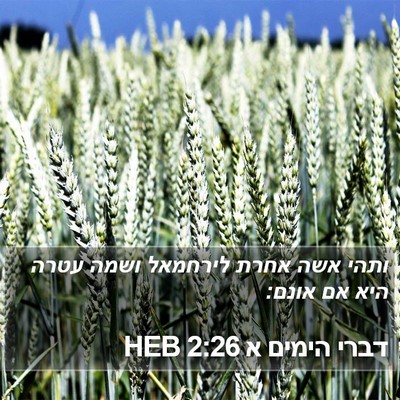 דברי הימים א 2:26 HEB Bible Verse Image