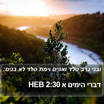 דברי הימים א 2:30 HEB Bible Verse Image