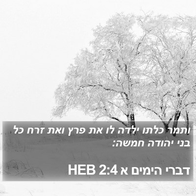 דברי הימים א 2:4 HEB Bible Verse Image