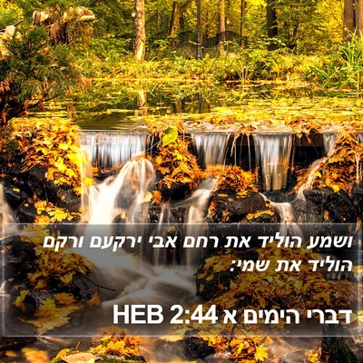 דברי הימים א 2:44 HEB Bible Verse Image