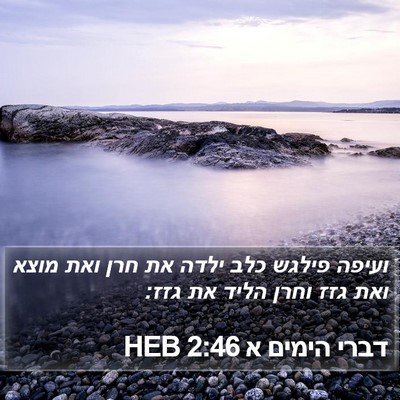 דברי הימים א 2:46 HEB Bible Verse Image