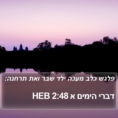 דברי הימים א 2:48 HEB Bible Verse Image