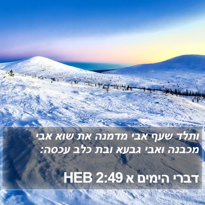 דברי הימים א 2:49 HEB Bible Verse Image